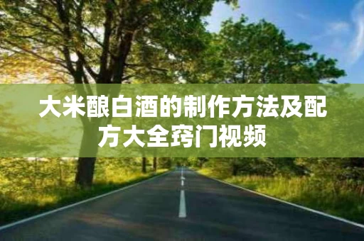 大米酿白酒的制作方法及配方大全窍门视频