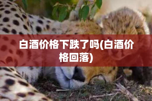 白酒价格下跌了吗(白酒价格回落)