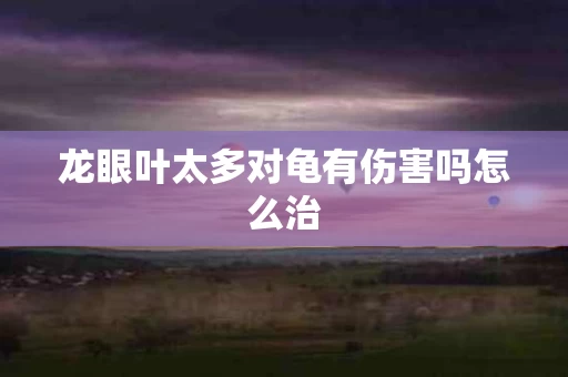 龙眼叶太多对龟有伤害吗怎么治
