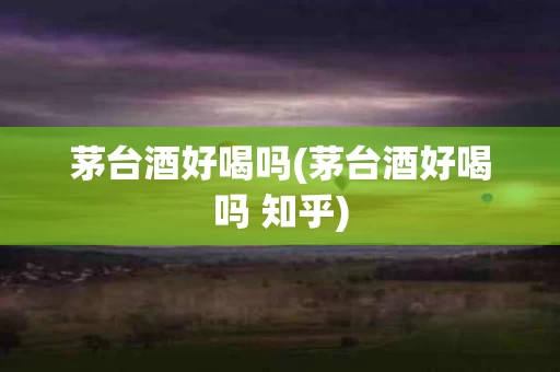 茅台酒好喝吗(茅台酒好喝吗 知乎)