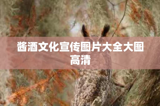 酱酒文化宣传图片大全大图高清