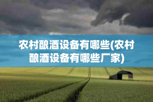 农村酿酒设备有哪些(农村酿酒设备有哪些厂家)