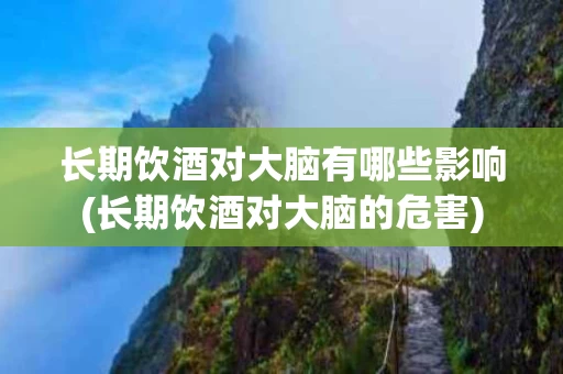 长期饮酒对大脑有哪些影响(长期饮酒对大脑的危害)