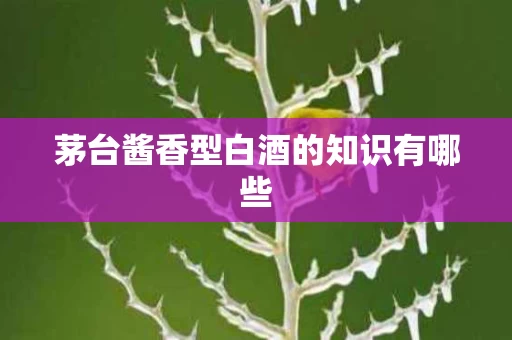 茅台酱香型白酒的知识有哪些