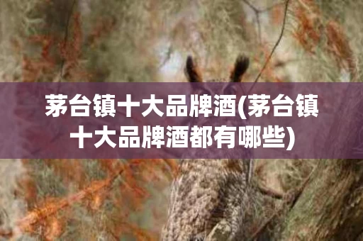 茅台镇十大品牌酒(茅台镇十大品牌酒都有哪些)