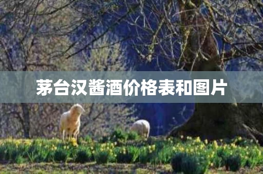 茅台汉酱酒价格表和图片