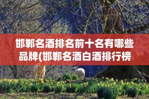 邯郸名酒排名前十名有哪些品牌(邯郸名酒白酒排行榜)