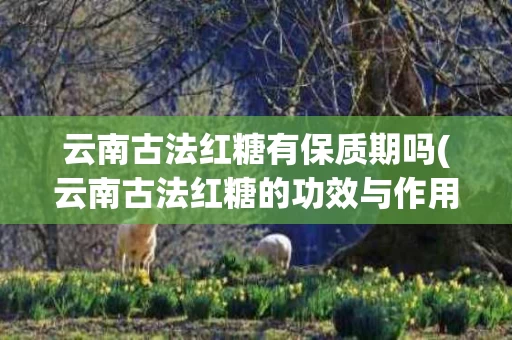 云南古法红糖有保质期吗(云南古法红糖的功效与作用)