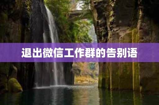 退出微信工作群的告别语
