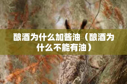 酿酒为什么加酱油（酿酒为什么不能有油）