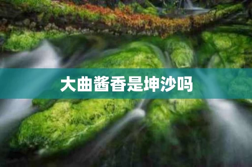 大曲酱香是坤沙吗