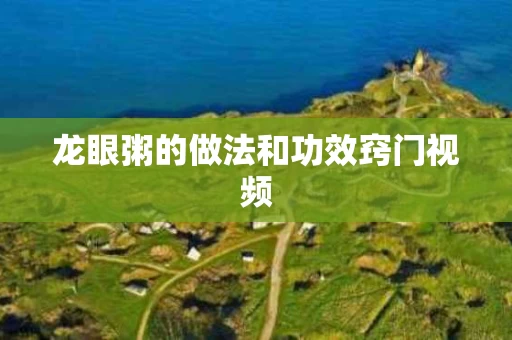 龙眼粥的做法和功效窍门视频