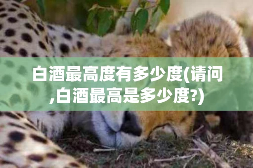 白酒最高度有多少度(请问,白酒最高是多少度?)