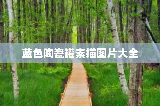 蓝色陶瓷罐素描图片大全