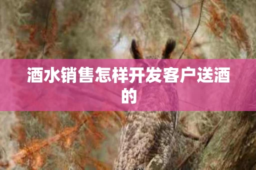 酒水销售怎样开发客户送酒的