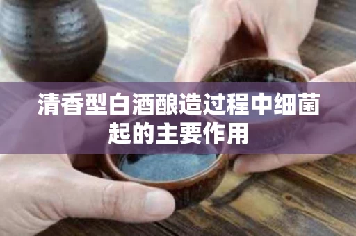 清香型白酒酿造过程中细菌起的主要作用