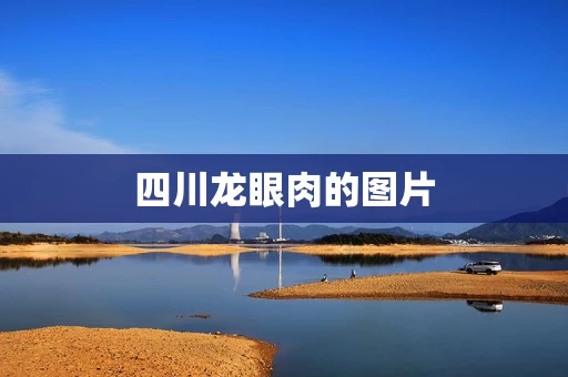 四川龙眼肉的图片