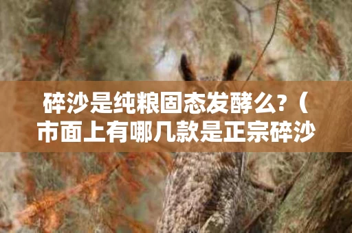 碎沙是纯粮固态发酵么?（市面上有哪几款是正宗碎沙酒）