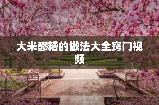 大米醪糟的做法大全窍门视频