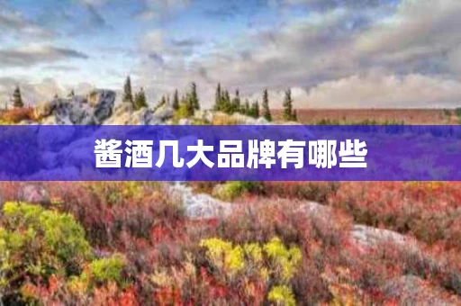 酱酒几大品牌有哪些