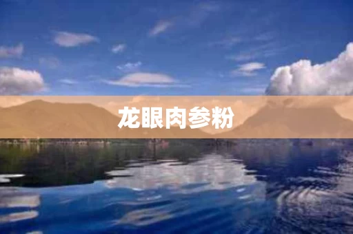 龙眼肉参粉