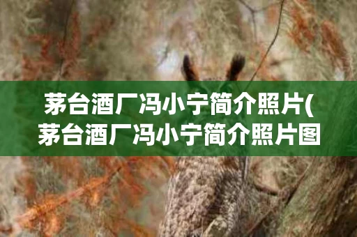茅台酒厂冯小宁简介照片(茅台酒厂冯小宁简介照片图片)