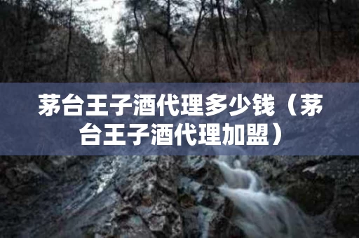 茅台王子酒代理多少钱（茅台王子酒代理加盟）