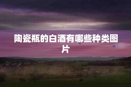 陶瓷瓶的白酒有哪些种类图片