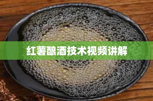 红薯酿酒技术视频讲解