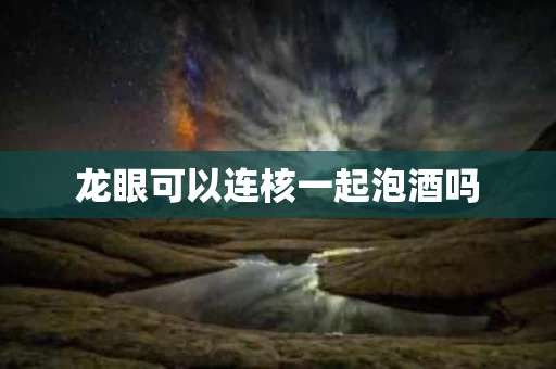 龙眼可以连核一起泡酒吗