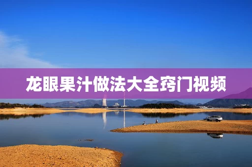 龙眼果汁做法大全窍门视频