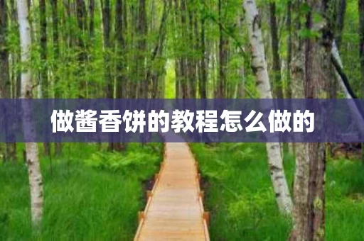 做酱香饼的教程怎么做的