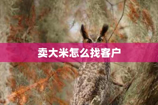 卖大米怎么找客户