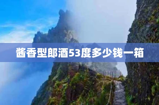 酱香型郎酒53度多少钱一箱