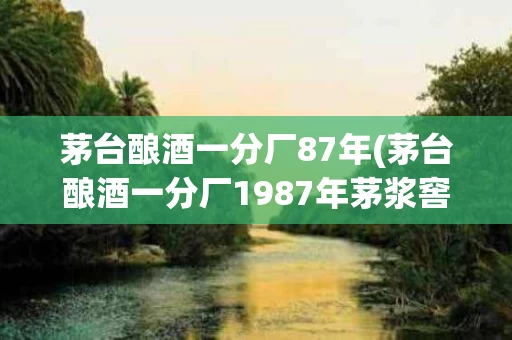 茅台酿酒一分厂87年(茅台酿酒一分厂1987年茅浆窖)
