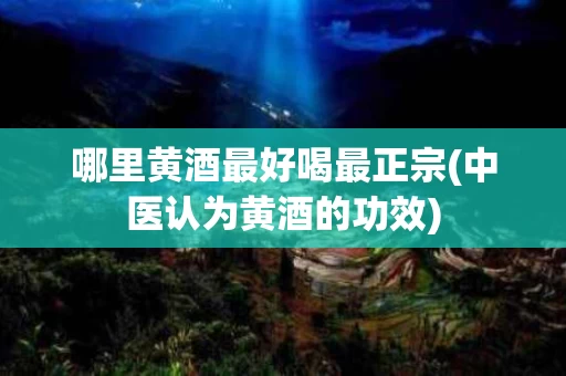 哪里黄酒最好喝最正宗(中医认为黄酒的功效)