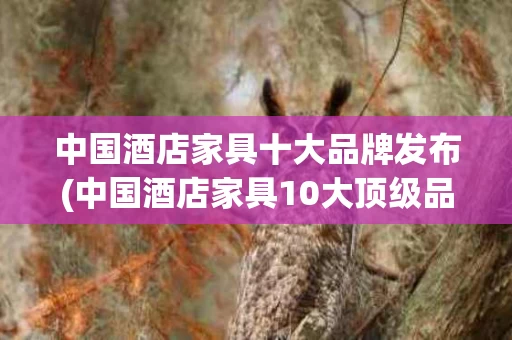 中国酒店家具十大品牌发布(中国酒店家具10大顶级品牌)