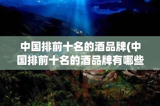 中国排前十名的酒品牌(中国排前十名的酒品牌有哪些)