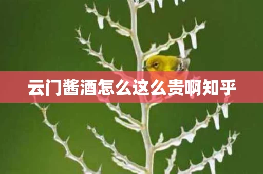 云门酱酒怎么这么贵啊知乎