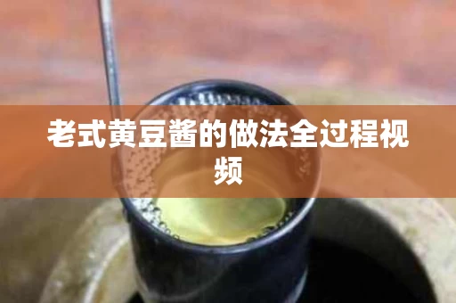 老式黄豆酱的做法全过程视频