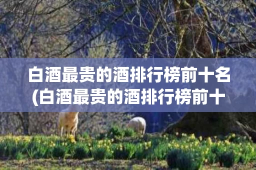 白酒最贵的酒排行榜前十名(白酒最贵的酒排行榜前十名有哪些)