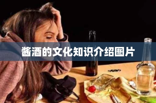 酱酒的文化知识介绍图片