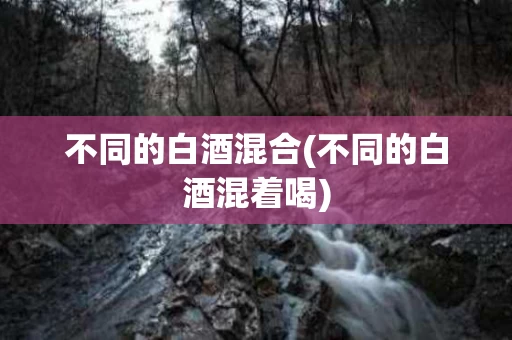 不同的白酒混合(不同的白酒混着喝)