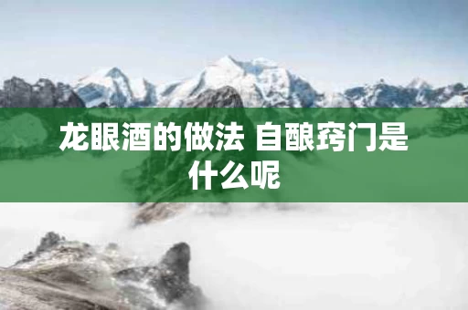 龙眼酒的做法 自酿窍门是什么呢
