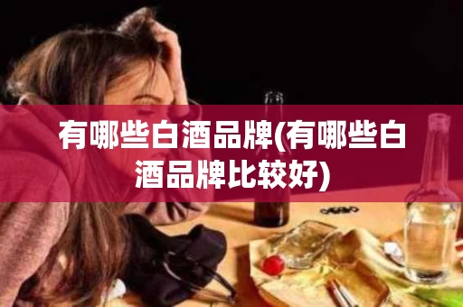 有哪些白酒品牌(有哪些白酒品牌比较好)