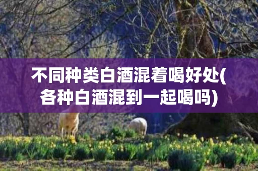 不同种类白酒混着喝好处(各种白酒混到一起喝吗)
