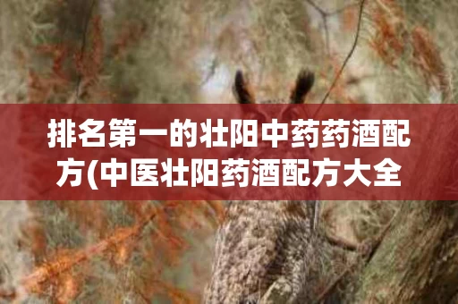 排名第一的壮阳中药药酒配方(中医壮阳药酒配方大全下载)
