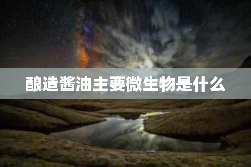 酿造酱油主要微生物是什么