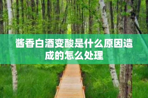 酱香白酒变酸是什么原因造成的怎么处理