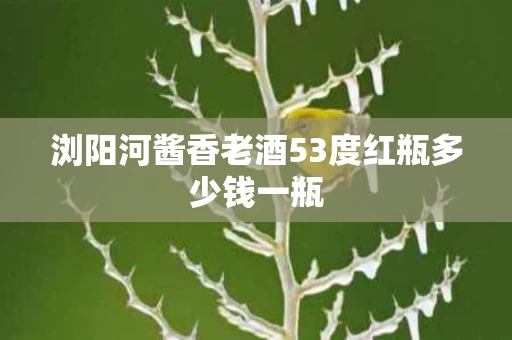 浏阳河酱香老酒53度红瓶多少钱一瓶